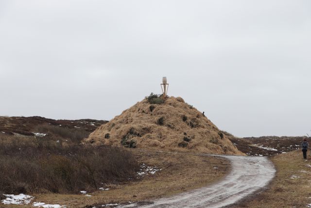 biike westerland 2026